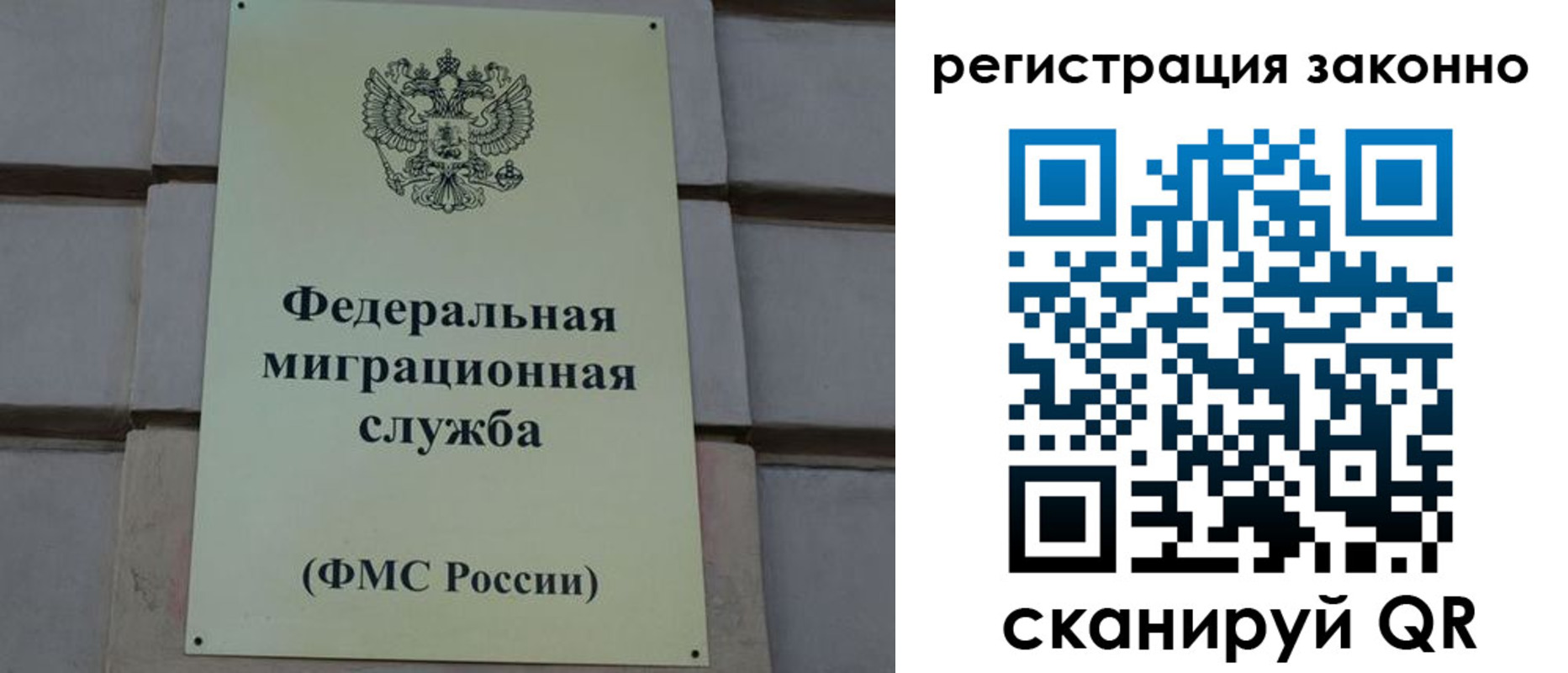 прописка гарантия в Оленегорске